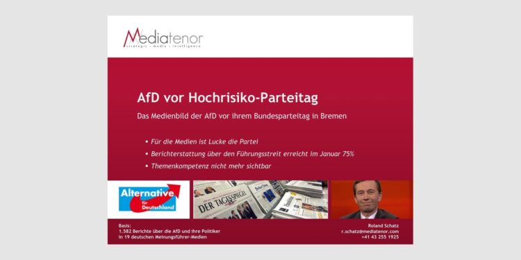 AfD vor Hochrisiko-Parteitag