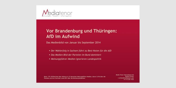 Vor Brandenburg und Thüringen: AfD im Aufwind